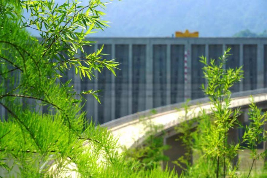 A new-green look showed at the Three Gorges Reservoir