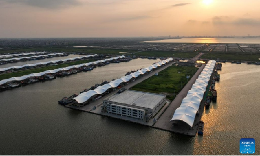More than 850,000 rare fish return to Yangtze River, enhancing aquatic biodiversity