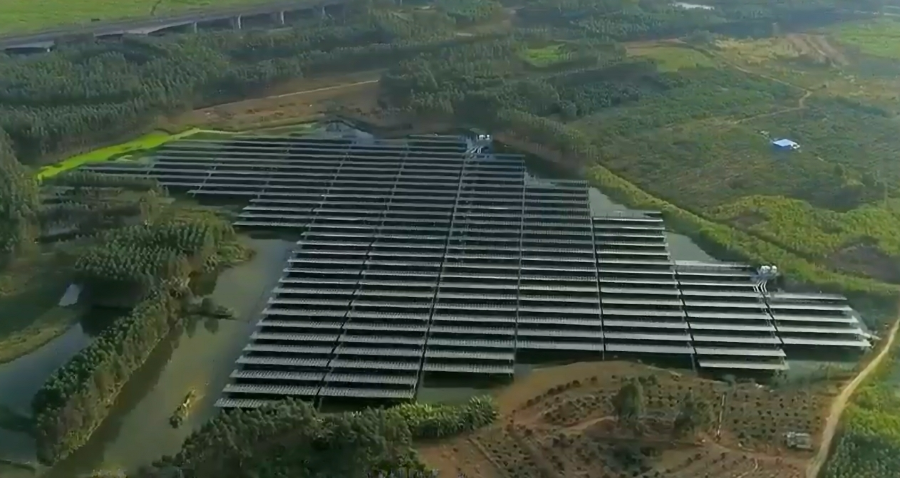 CTG fishery and solar complementary PV project harmonizes tradition and technology