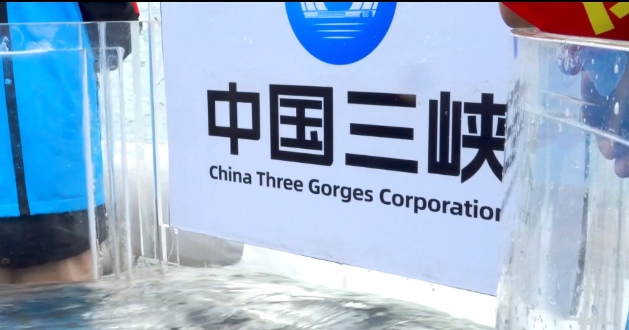 Record number of over 800,000 Yangtze sturgeons released