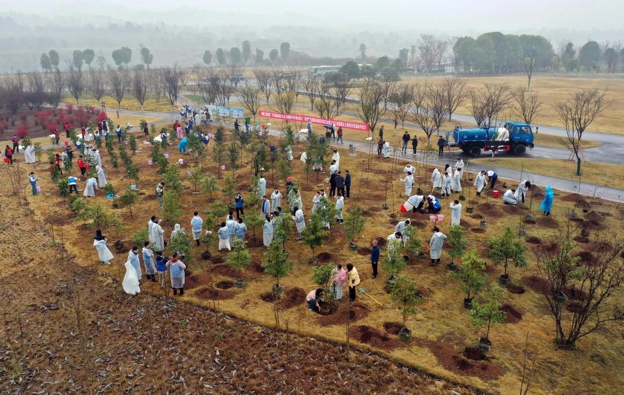 CTG youth volunteers take part in multiple tree-planting activities