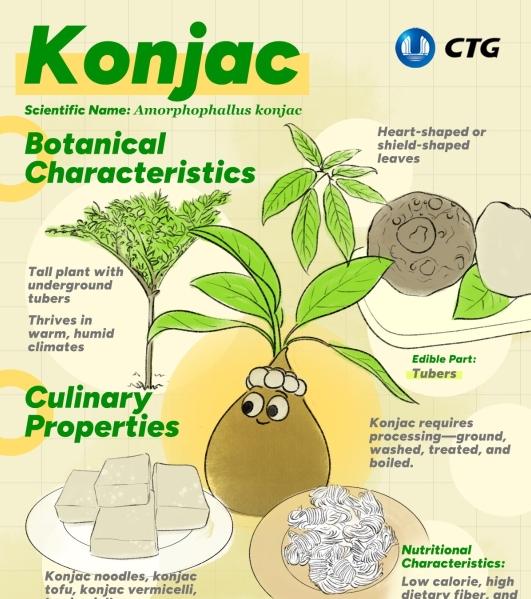 CTG-assisted konjac cultivation brings prosperity to villages in Wushan county, SW China's Chongqing Municipality