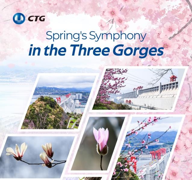 A glimpse of vibrant spring views in Three Gorges Dam area