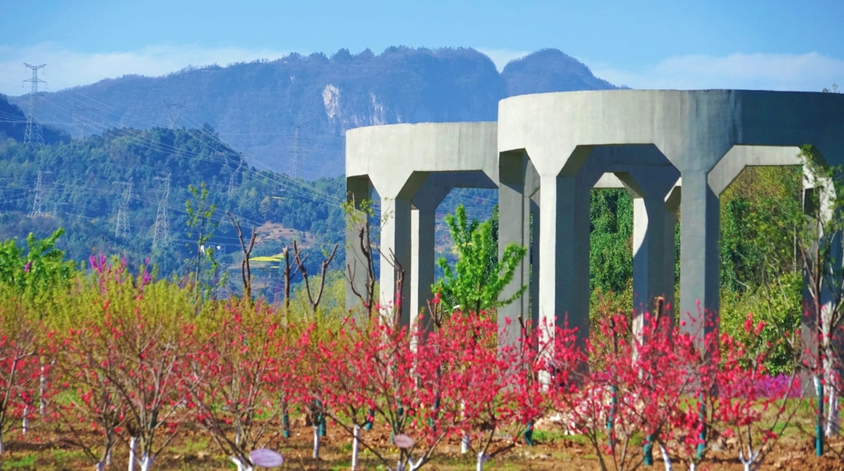 CTG’s pictures showcase its ecological achievements