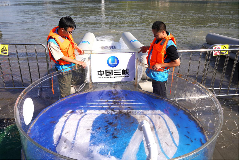 The Yangtze River: A corridor nurturing biodiversity