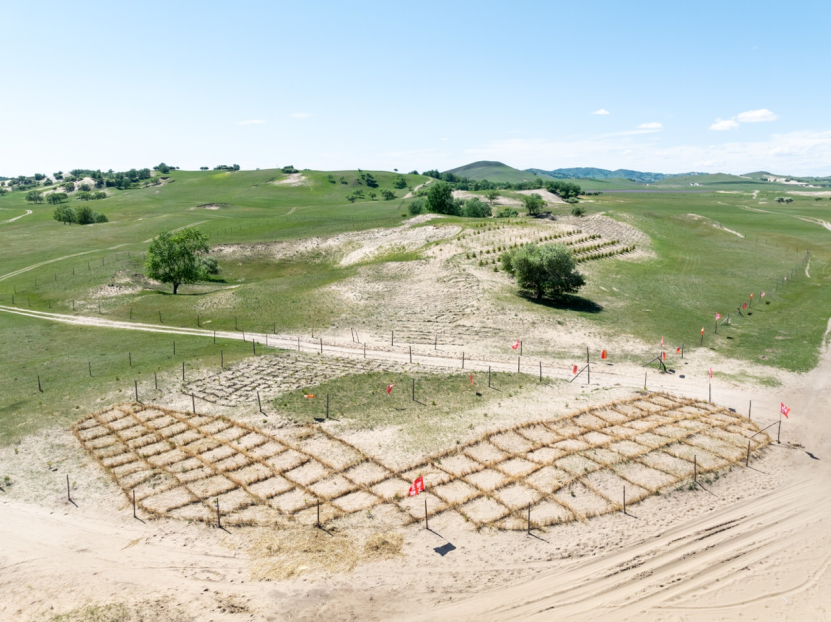 From sands to oasis: CTG's new frontier in desert control