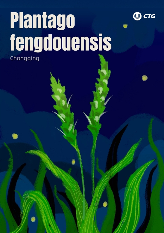 This National Tree Planting Day, join CTG on a journey into the green protection!