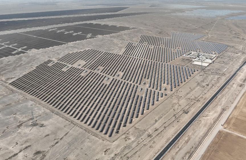 PV and sea buckthorn: where light meets green