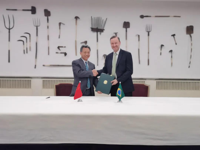 图片9