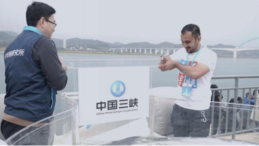 图片47
