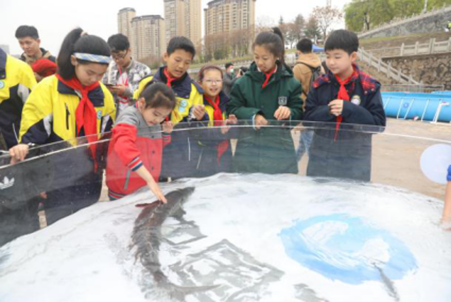 图片49