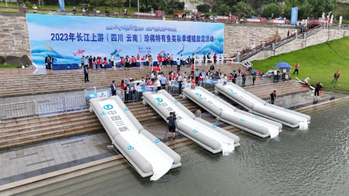 图片33 图片33