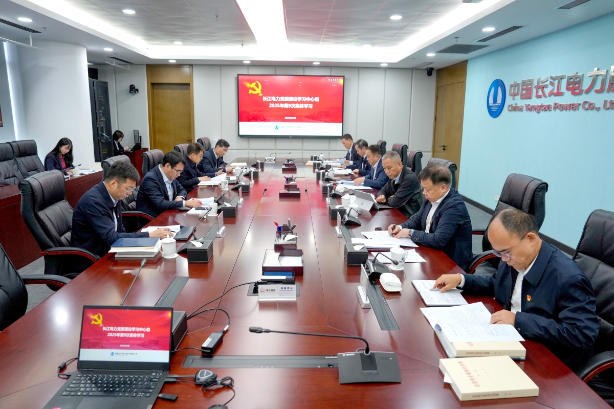 长江电力党委理论学习中心组专题学习党的二十届四中全会精神