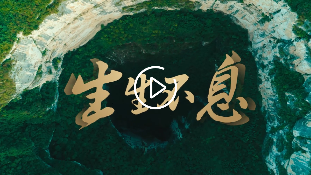生生不息宣传片