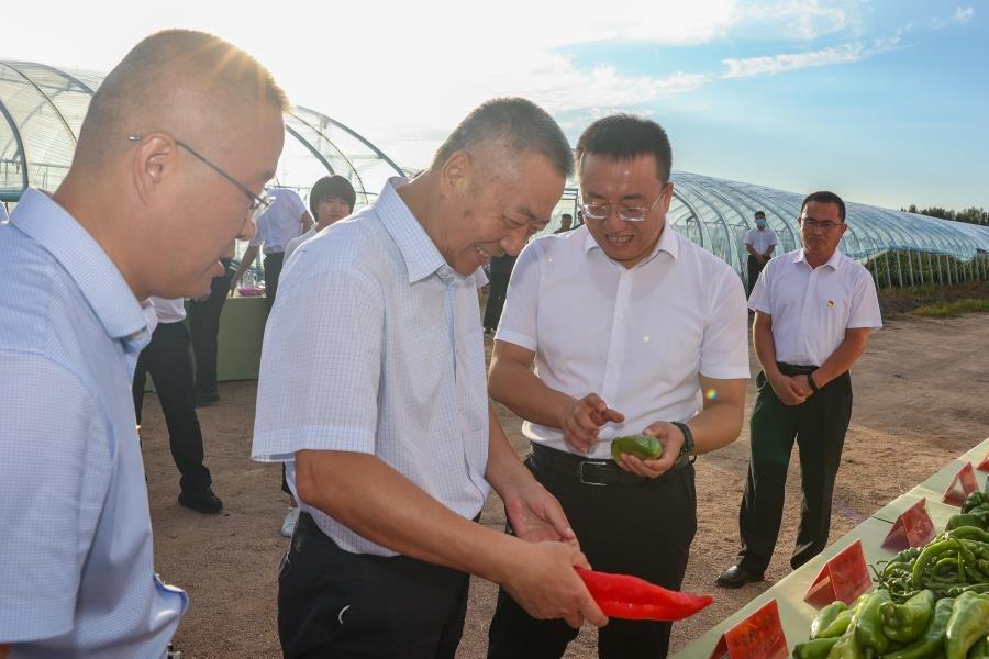 微信图片_20220814145459