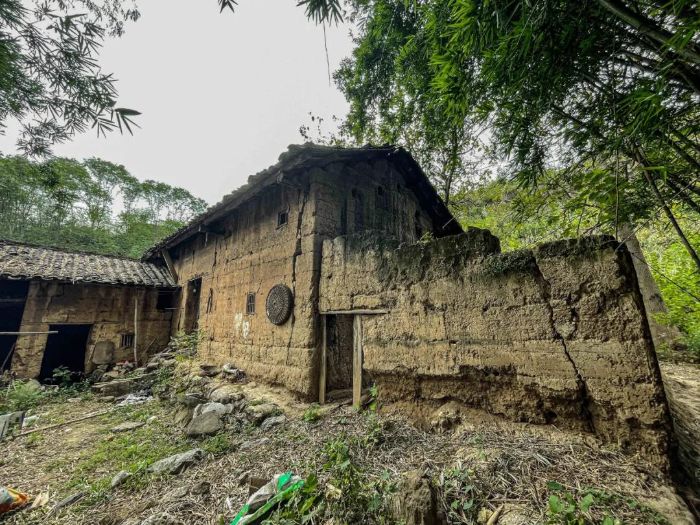 白鹤滩部分分散安置移民提前“完成作业”