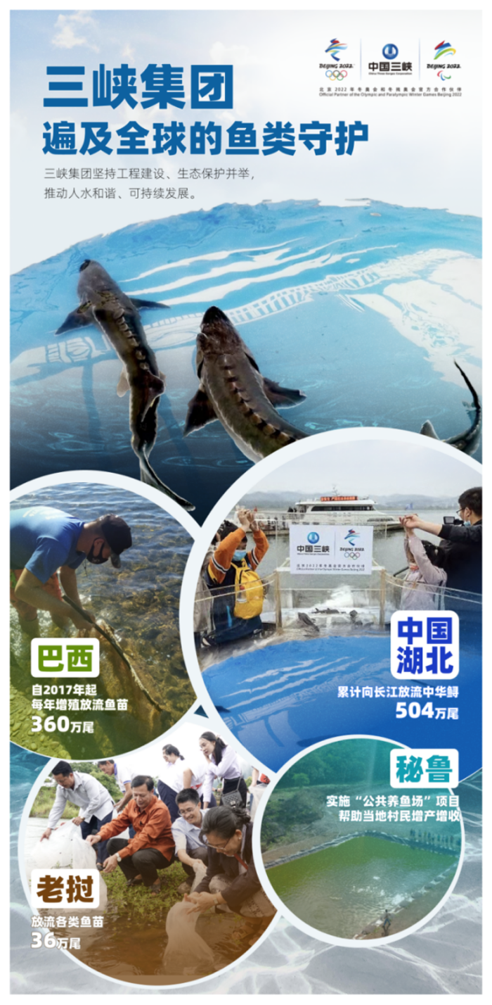 三峡集团遍及全球的鱼类守护