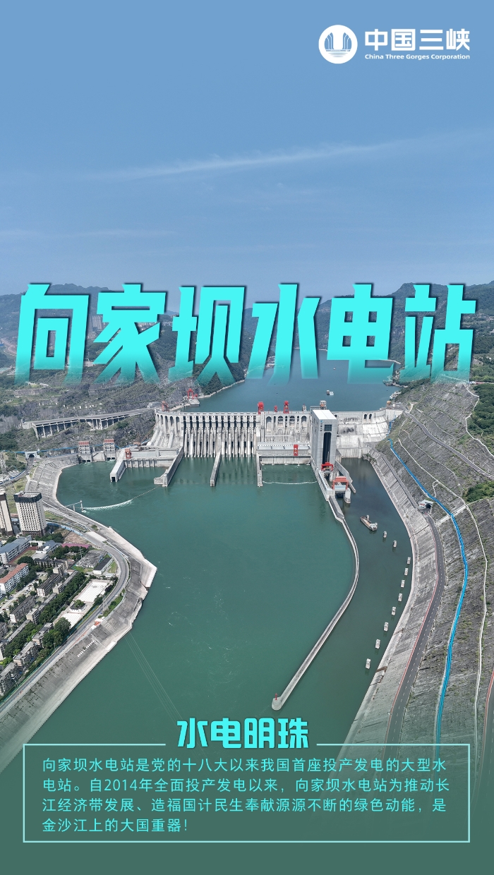 向家坝11