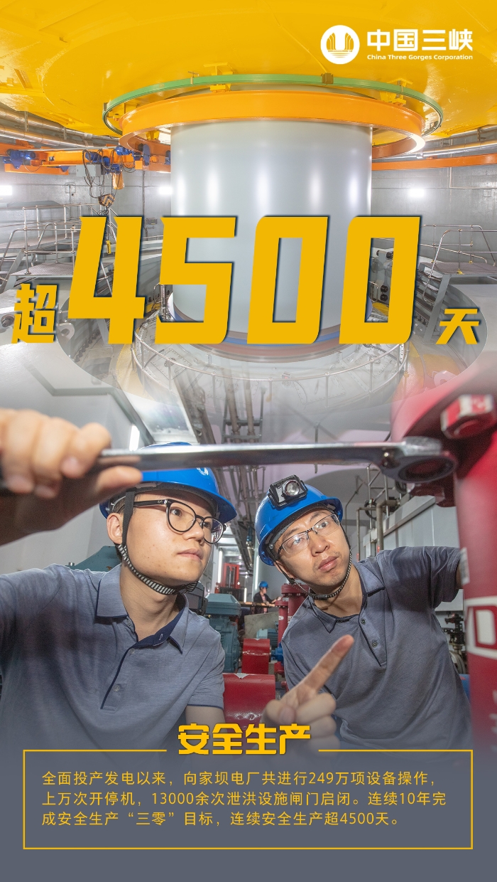 向家坝4
