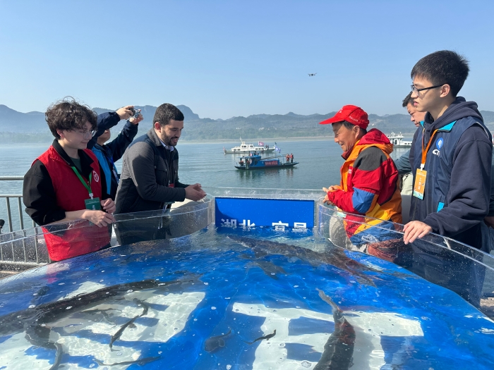 马小飞在湖北宜昌中华鲟放流现场