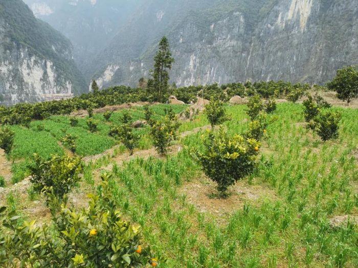 微信图片_20220215093117