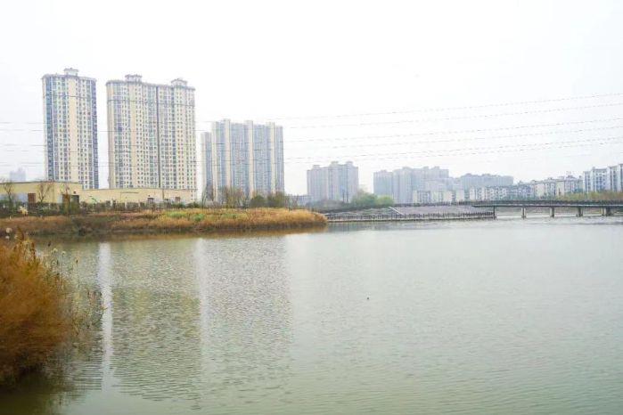 d3d959a1-3805-4104-ab91-bced149e6d55