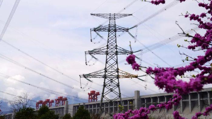 微信图片_20220424093919