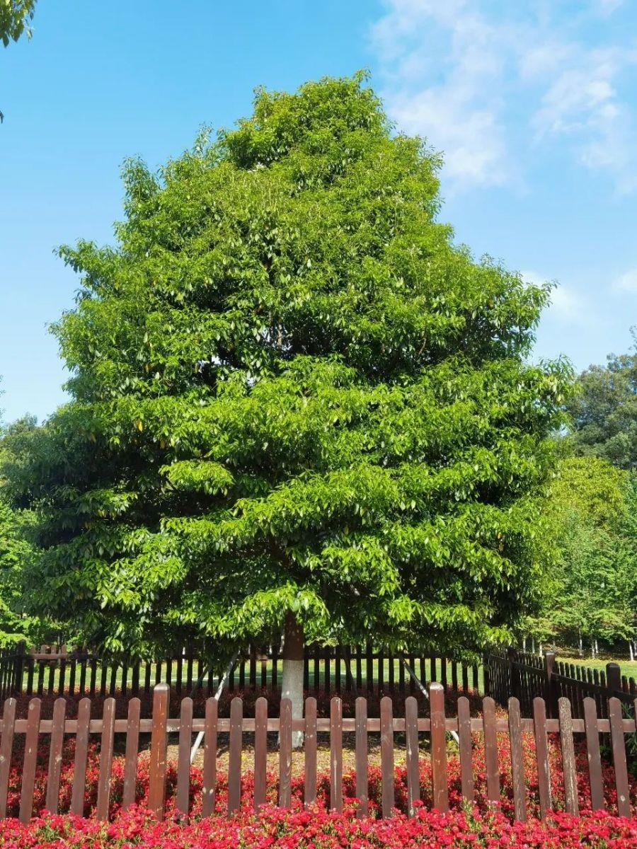 微信图片_20220427092711 微信图片_20220427092711