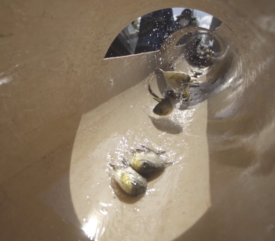 微信图片_20220523113301