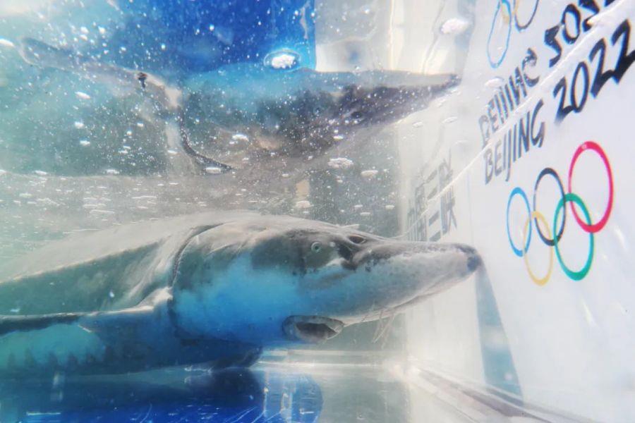 微信图片_20220523113306