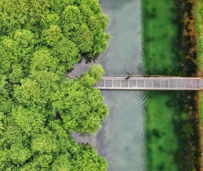 芜湖江东水生态公园 摄影：毛翔春