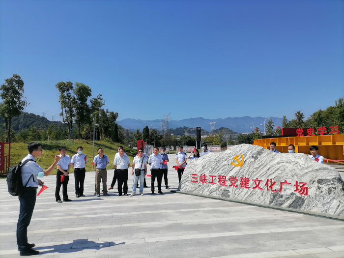 图片7 图片7