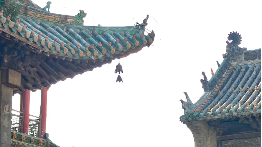 图片3 图片3