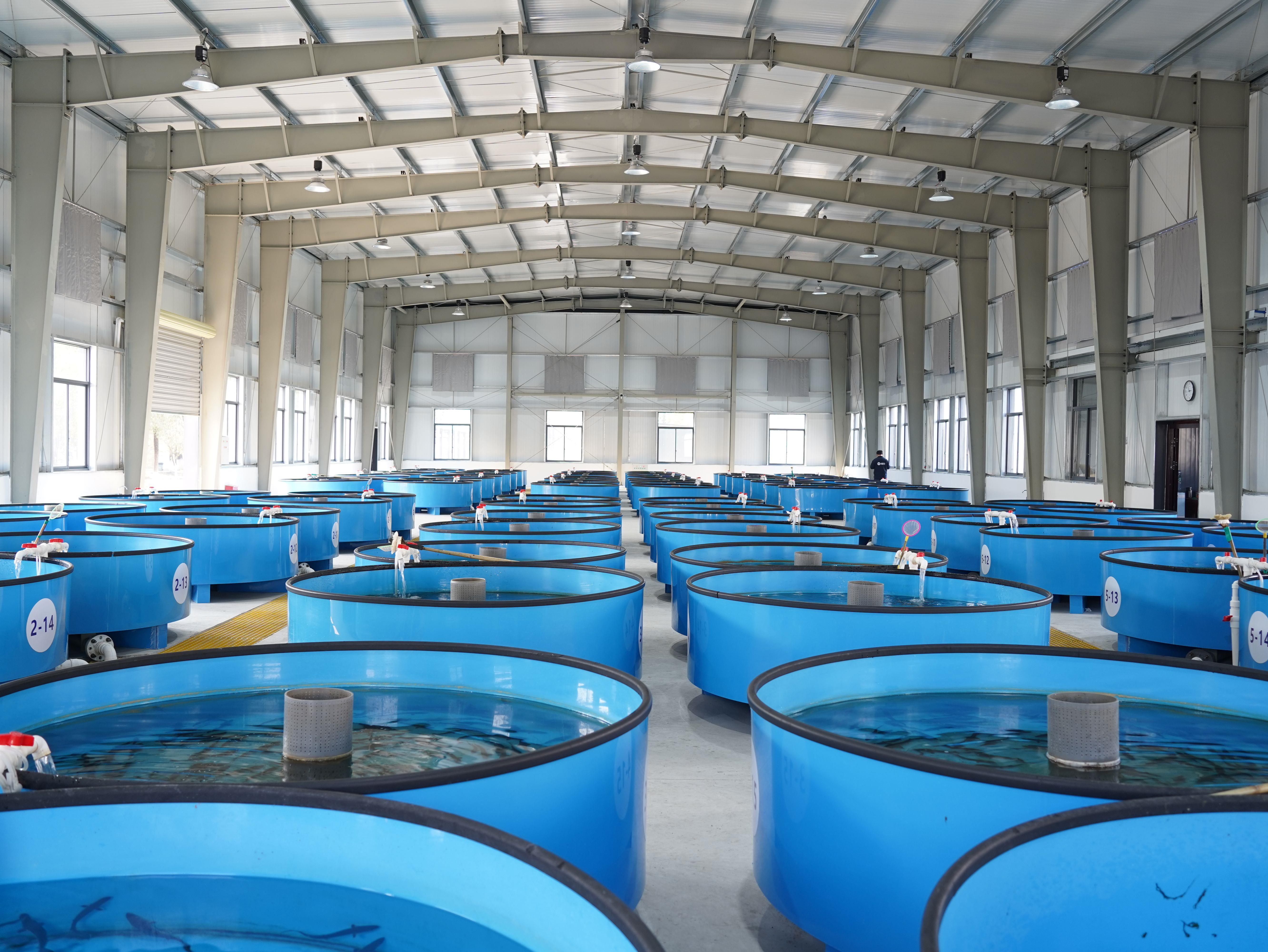 新苗种养殖车间